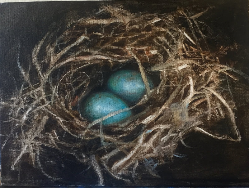 bird eggs in nest blue